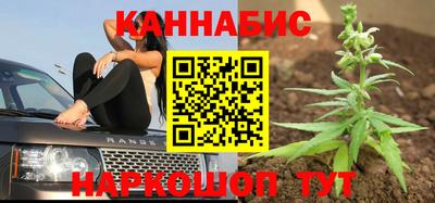 МДПВ Тула