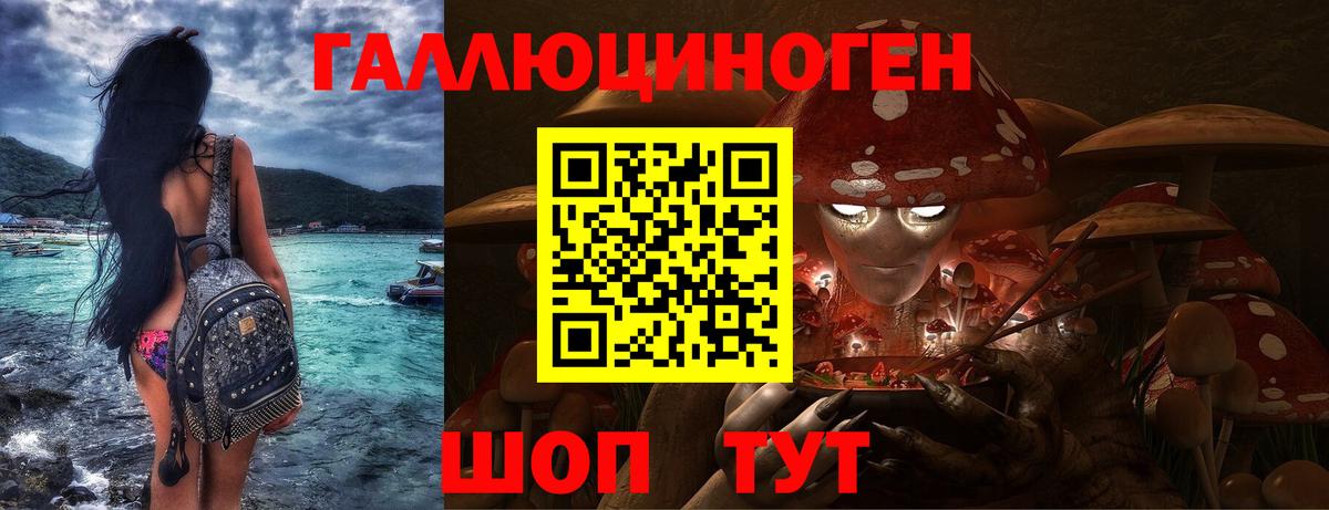 Галлюциногенные грибы Psilocybe Магнитогорск