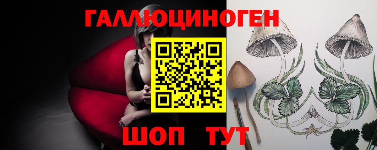 Магнитогорск  Галлюциногенные грибы GOLDEN TEACHER  Вход с VPN  Галлюциногенные грибы ЛСД 